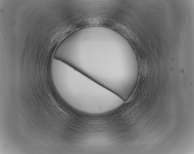 X0000070850740200607071831