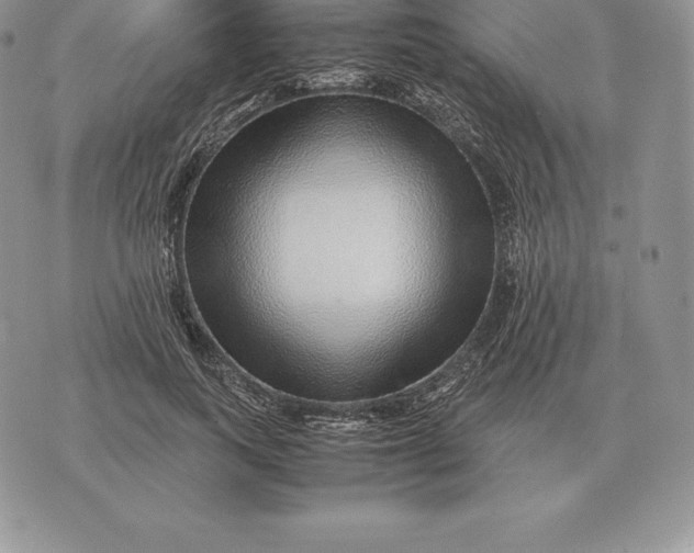 X0000070850743200607071831