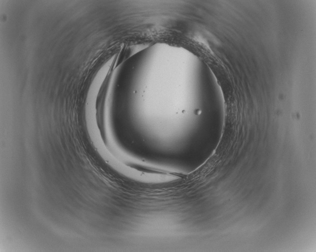 X0000070850750200607071831