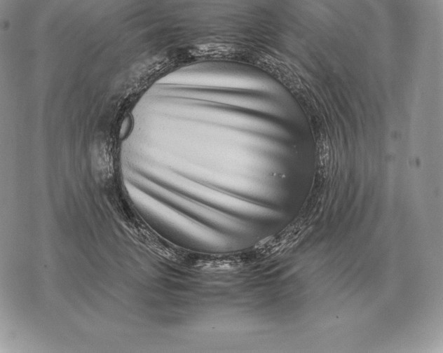 X0000070850751200607071831