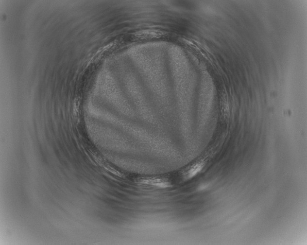 X0000070850759200607071832