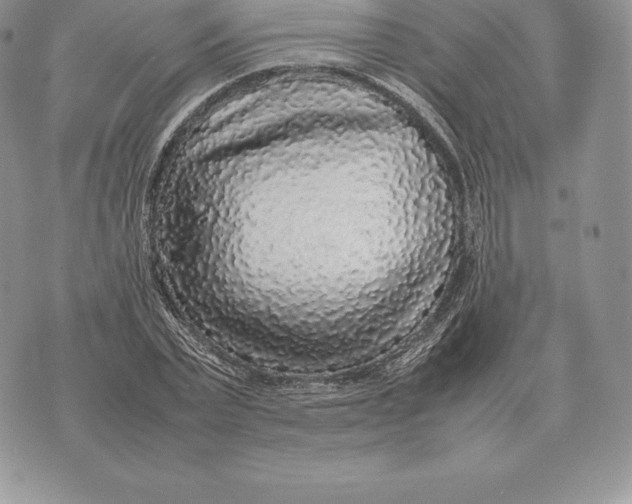 X0000070850783200607071831