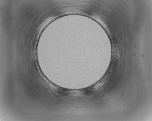 X0000070850807200607071830