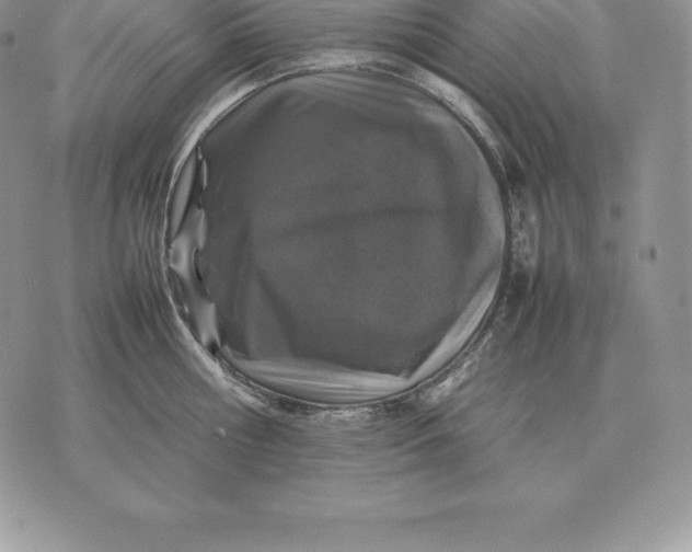 X0000070850810200607071830