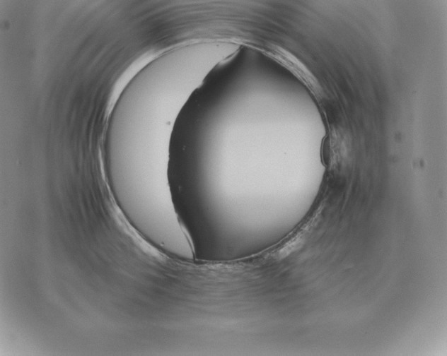 X0000070850812200607071830