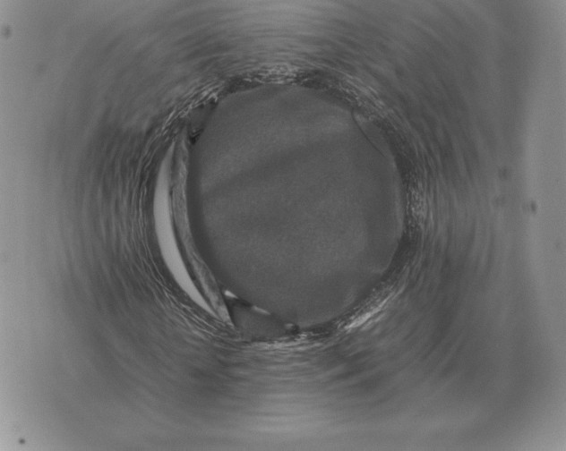 X0000070850818200607071829