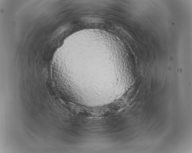 X0000070850821200607071830