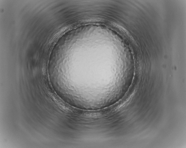 X0000070850833200607071830