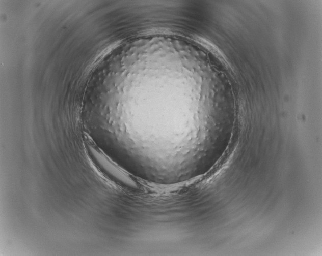 X0000070850849200607071830