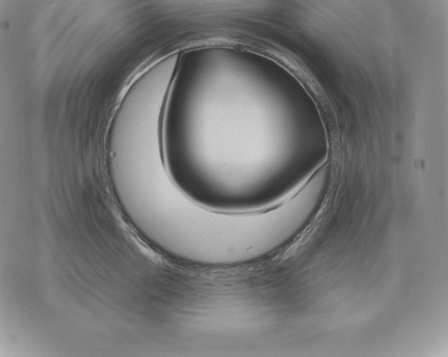 X0000070850858200607071830