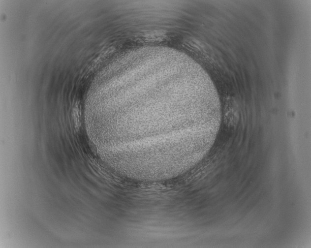 X0000070850866200607071829