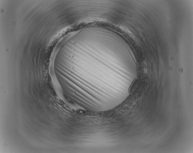 X0000070850872200607071829