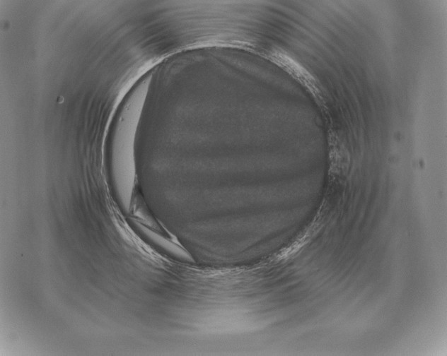 X0000070850892200607071829