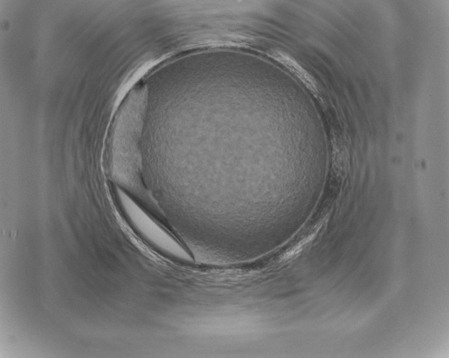X0000070850893200607071829
