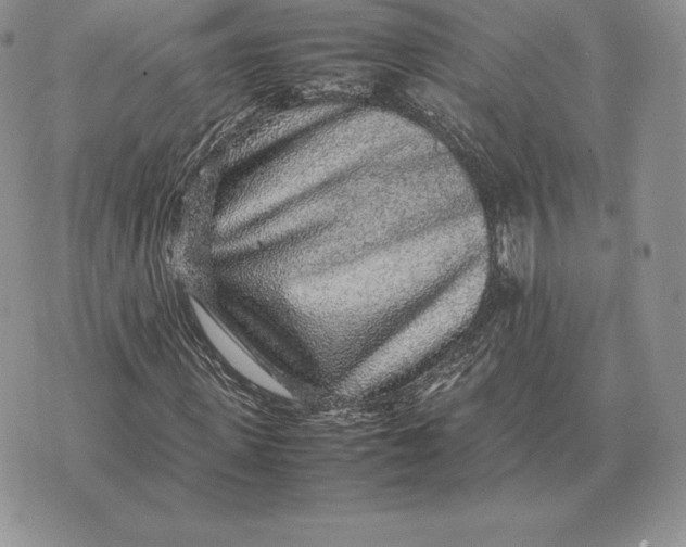 X0000070850915200607071828