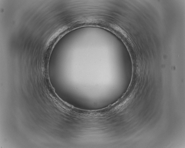 X0000070850922200607071828