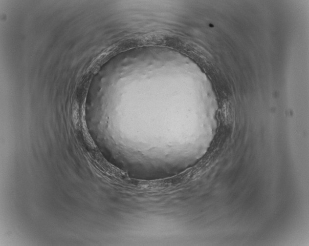 X0000070850963200607071828