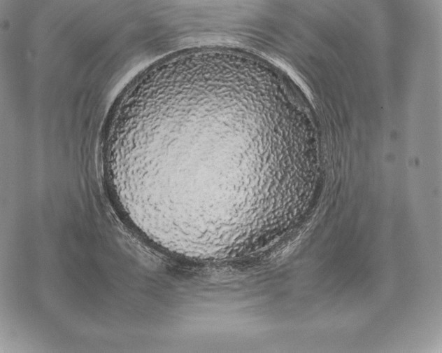 X0000070850983200607071828