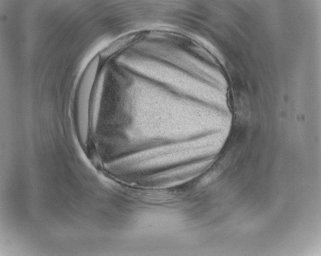 X0000070851007200607071827