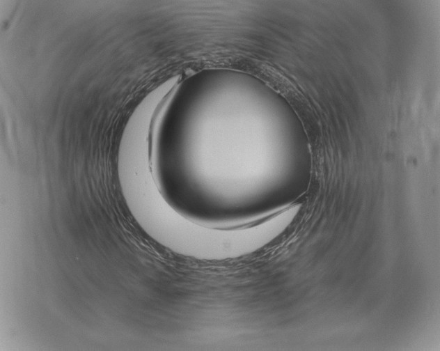 X0000070851010200607071826