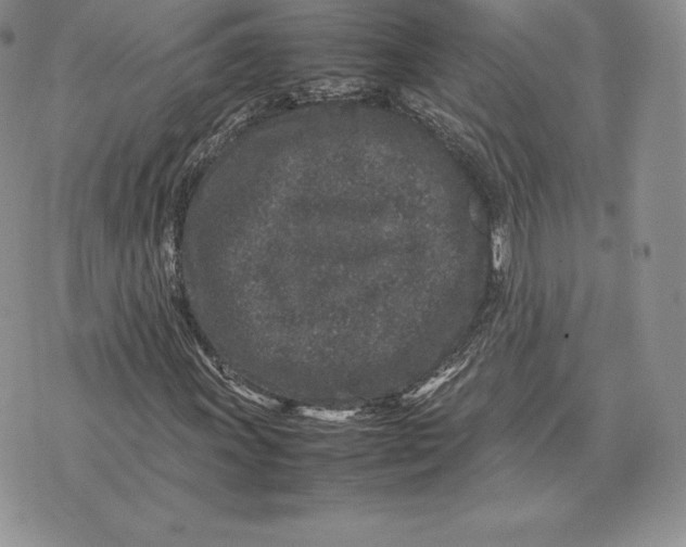 X0000070851011200607071826