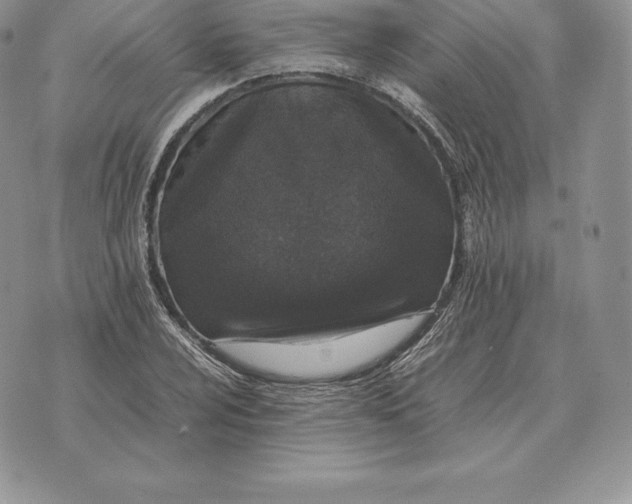 X0000070851024200607071827