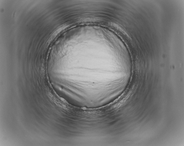 X0000070851025200607071827
