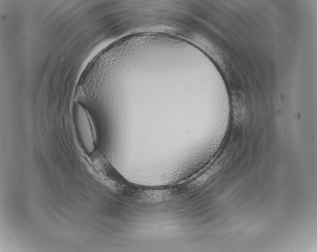 X0000070851044200607071827