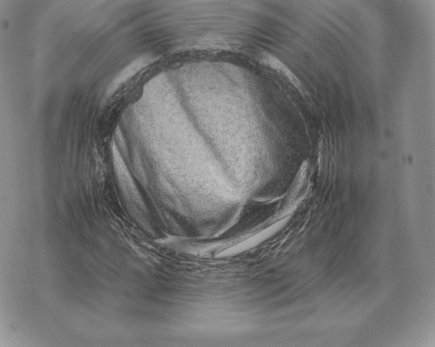 X0000070851064200607071826