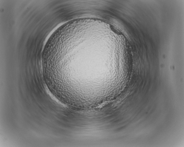 X0000070851092200607071826