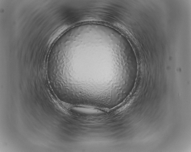 X0000070851129200607071825