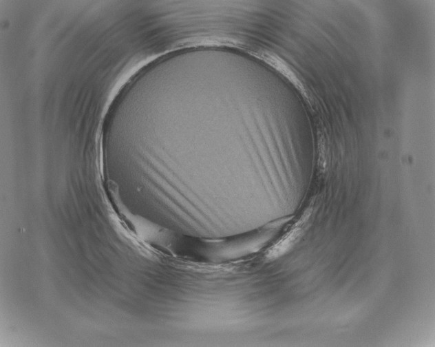 X0000070851132200607071825