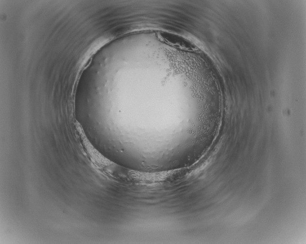 X0000070851145200607071825