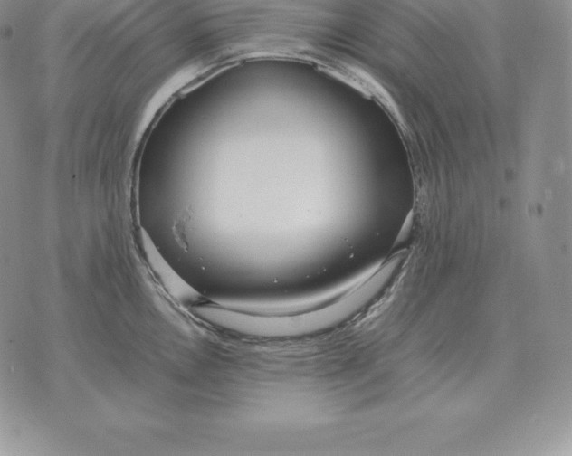 X0000070851146200607071825