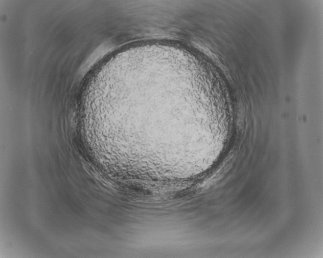 X0000070851163200607071824