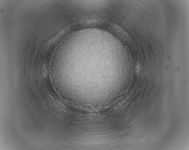 X0000070851204200607071823