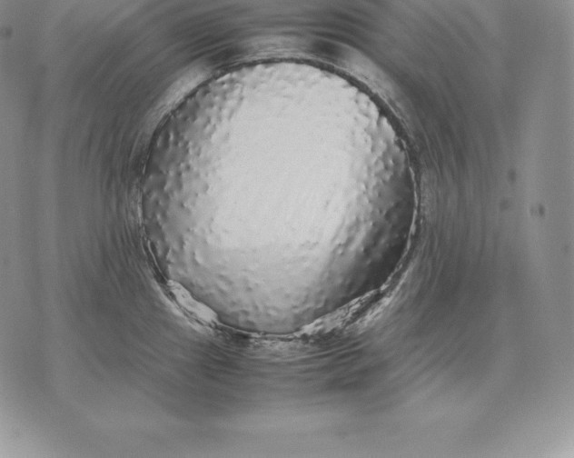 X0000070851241200607071824
