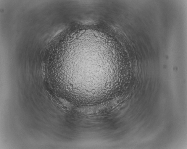 X0000070851301200607071822