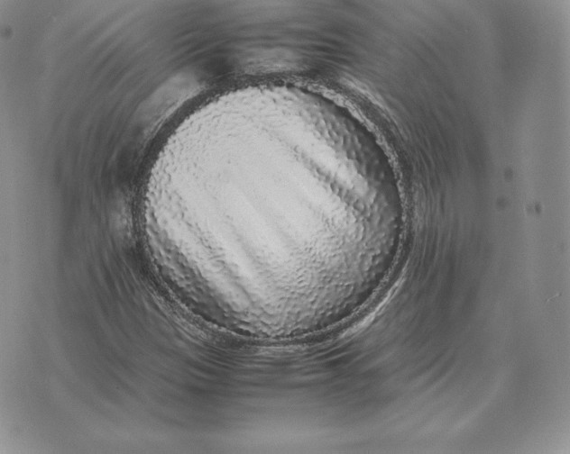 X0000070851305200607071822