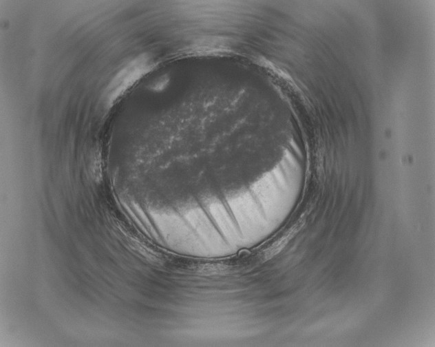 X0000070851306200607071822