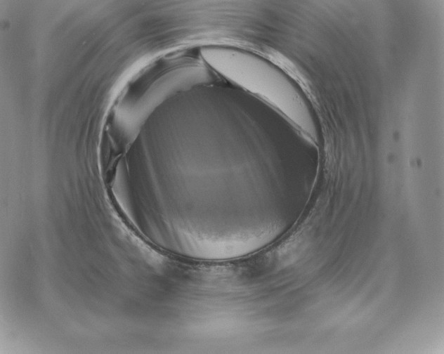 X0000070851334200607071822