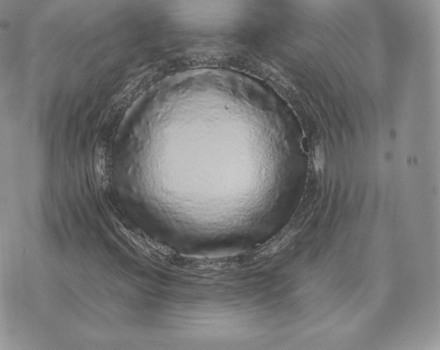 X0000070851396200607071820