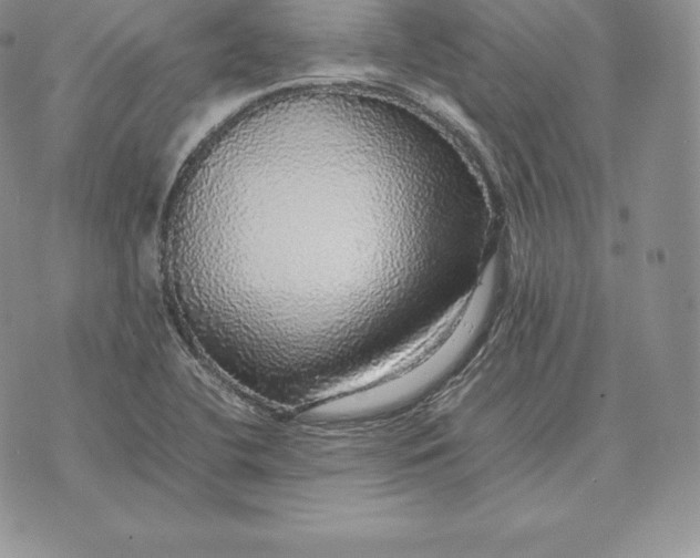 X0000070851412200607071820