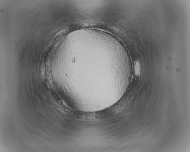 X0000070851444200607071820