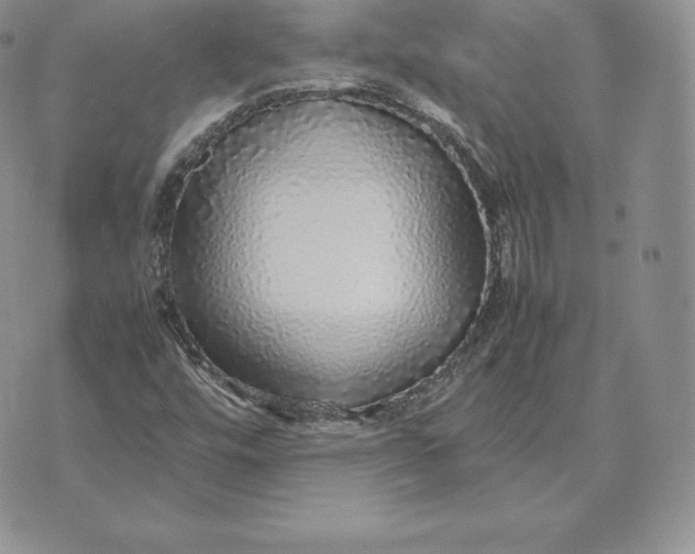 X0000070851448200607071820