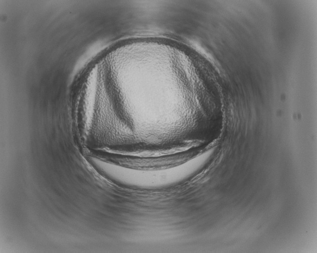 X0000070851456200607071820