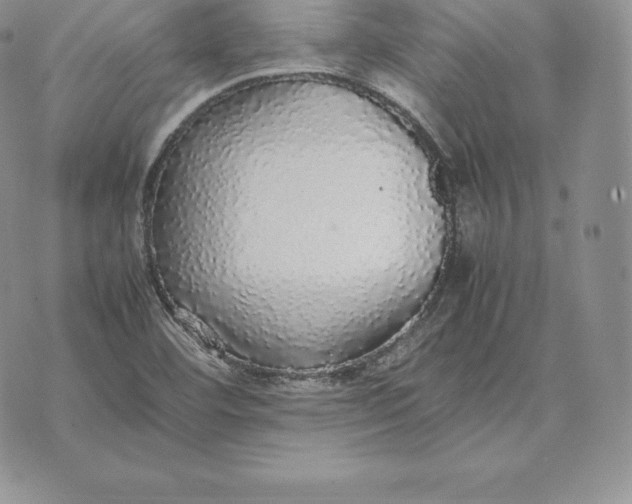 X0000070851460200607071820
