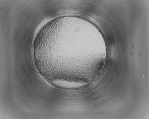 X0000070851472200607071819