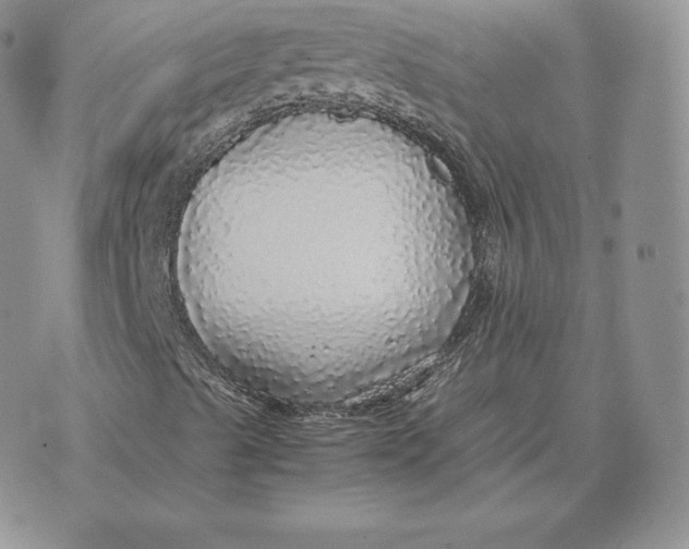 X0000070851489200607071818
