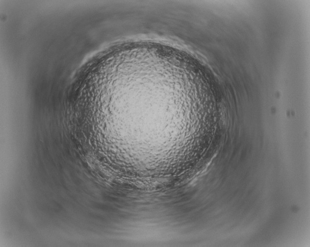 X0000070851494200607071818